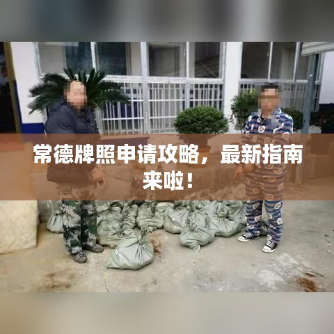 常德牌照申请攻略,最新指南来啦!