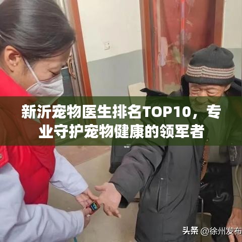 新沂宠物医生排名TOP10,专业守护宠物健康的领军者