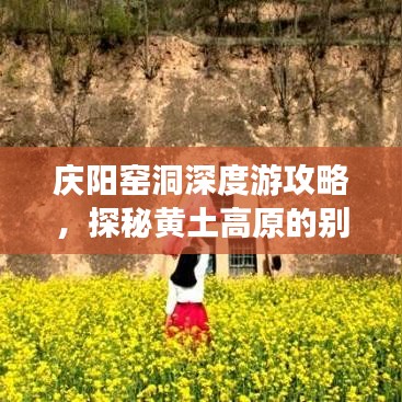 庆阳窑洞深度游攻略,探秘黄土高原的别样风情