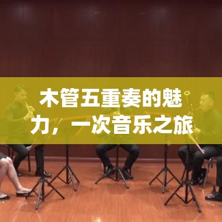 木管五重奏的魅力,一次音乐之旅的百度独家揭秘