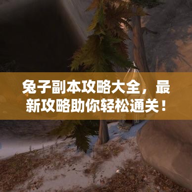 兔子副本攻略大全,最新攻略助你轻松通关!