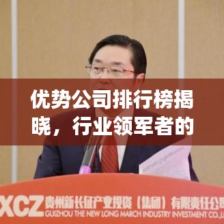 优势公司排行榜揭晓,行业领军者的实力展现!