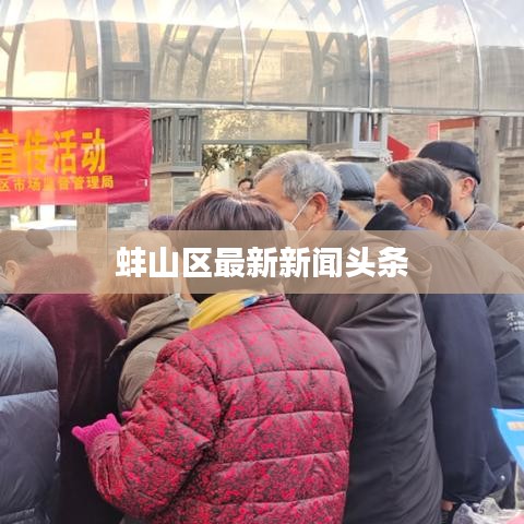 蚌山区最新新闻头条