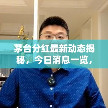 茅台分红最新动态揭秘,今日消息一览,惊喜回报揭晓!