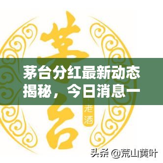茅台分红最新动态揭秘,今日消息一览,惊喜回报揭晓!