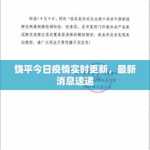 饶平今日疫情实时更新,最新消息速递