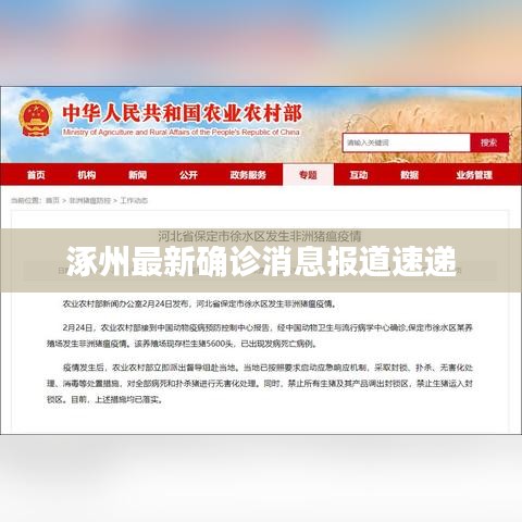 鸟啼花怨 第3页