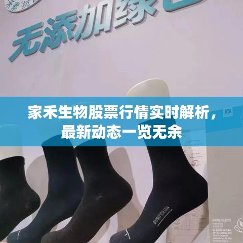 家禾生物股票行情实时解析,最新动态一览无余