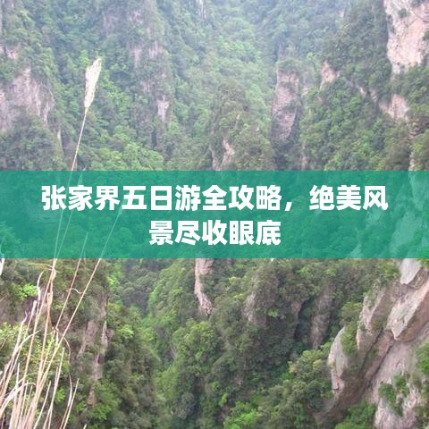 张家界五日游全攻略,绝美风景尽收眼底
