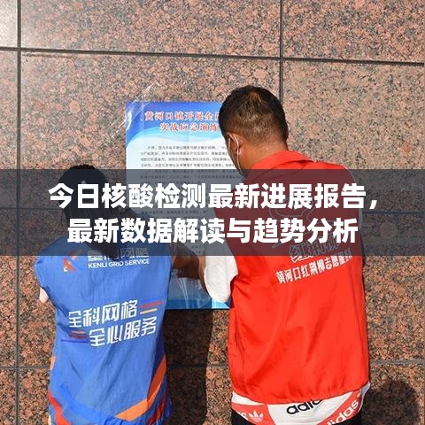 今日核酸检测最新进展报告,最新数据解读与趋势分析