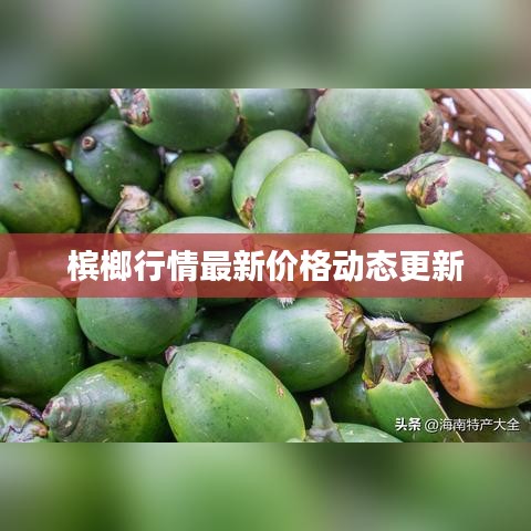 槟榔行情最新价格动态更新