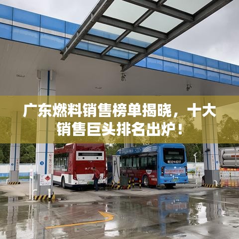 广东燃料销售榜单揭晓,十大销售巨头排名出炉!