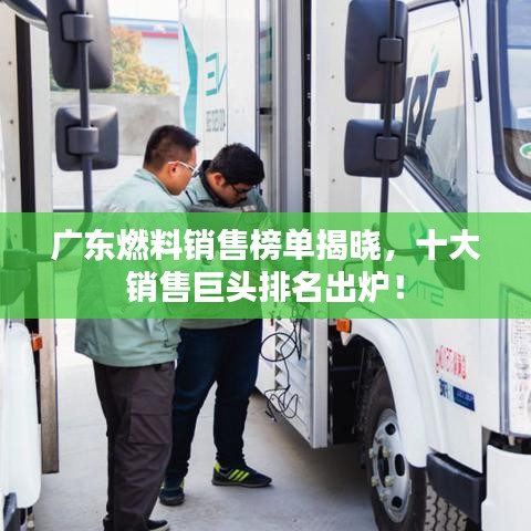 广东燃料销售榜单揭晓,十大销售巨头排名出炉!