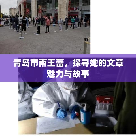 青岛市南王蕾，探寻她的文章魅力与故事