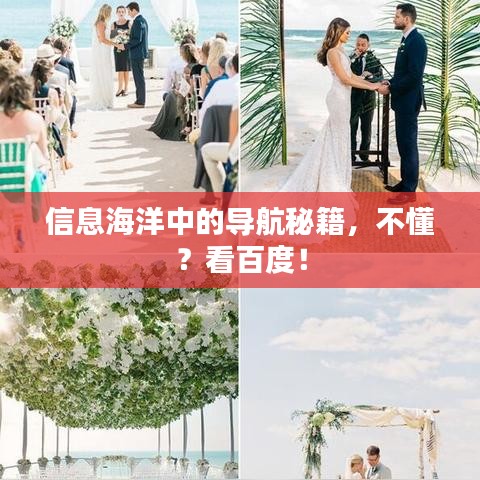 信息海洋中的导航秘籍,不懂?看百度!