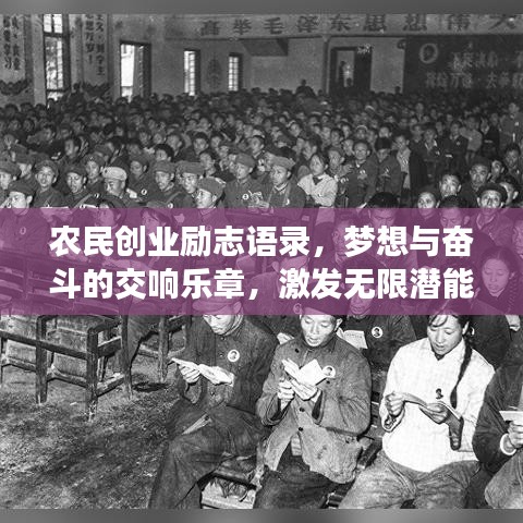 农民创业励志语录，梦想与奋斗的交响乐章，激发无限潜能！