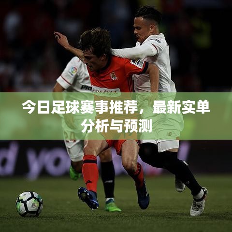 采椽不斫 第5页