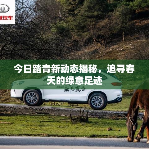今日踏青新动态揭秘,追寻春天的绿意足迹