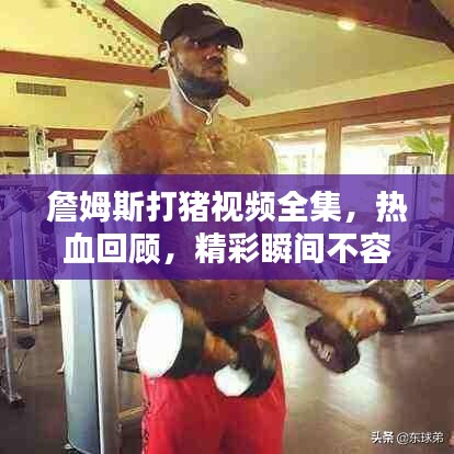 詹姆斯打猪视频全集,热血回顾,精彩瞬间不容错过