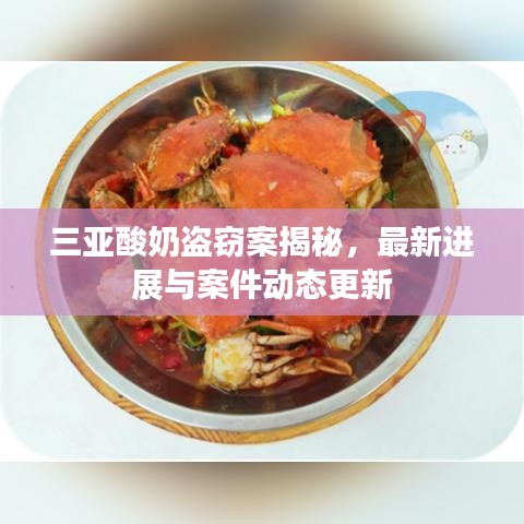 三亚酸奶盗窃案揭秘,最新进展与案件动态更新