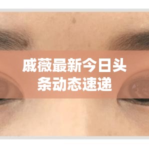 戚薇最新今日头条动态速递