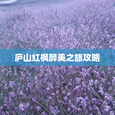 庐山红枫醉美之旅攻略