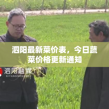 泗阳最新菜价表,今日蔬菜价格更新通知