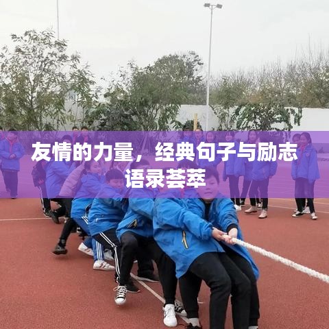 友情的力量,经典句子与励志语录荟萃