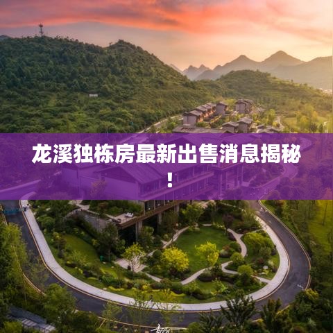 龙溪独栋房最新出售消息揭秘!