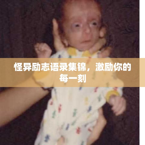 怪异励志语录集锦,激励你的每一刻