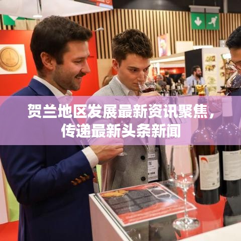 贺兰地区发展最新资讯聚焦,传递最新头条新闻