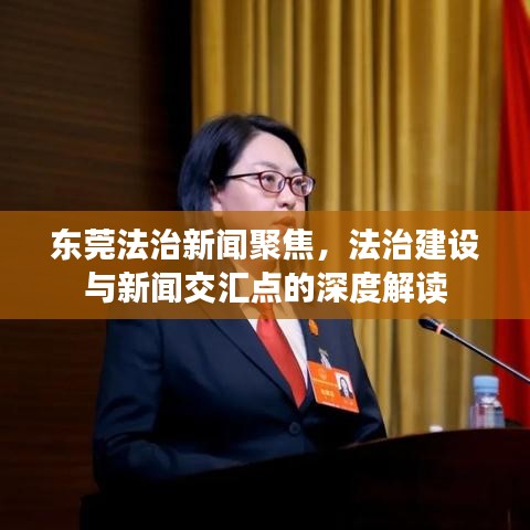 东莞法治新闻聚焦,法治建设与新闻交汇点的深度解读