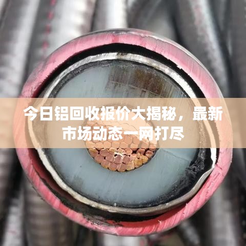 今日铝回收报价大揭秘,最新市场动态一网打尽