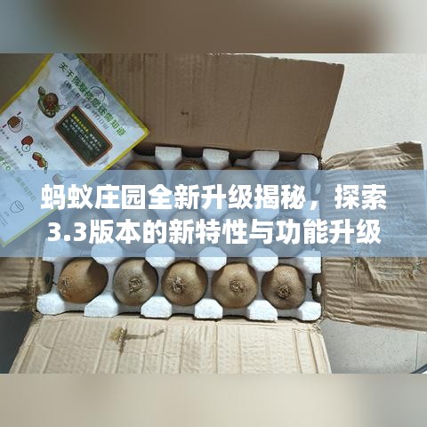蚂蚁庄园全新升级揭秘,探索3.3版本的新特性与功能升级亮点