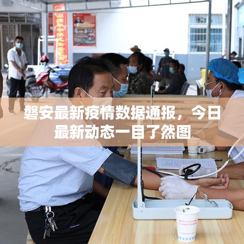 磐安最新疫情数据通报，今日最新动态一目了然图