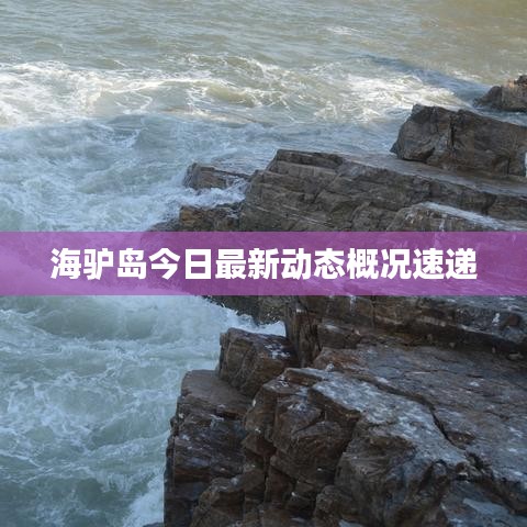 海驴岛今日最新动态概况速递
