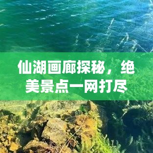 仙湖画廊探秘，绝美景点一网打尽，旅游攻略大揭秘！