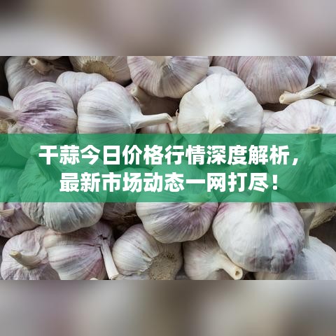 还淳反朴 第4页