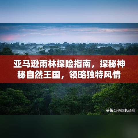 亚马逊雨林探险指南,探秘神秘自然王国,领略独特风情