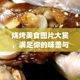 烧烤美食图片大赏，满足你的味蕾与视觉享受！