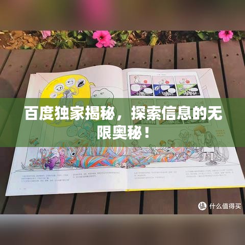 百度独家揭秘,探索信息的无限奥秘!