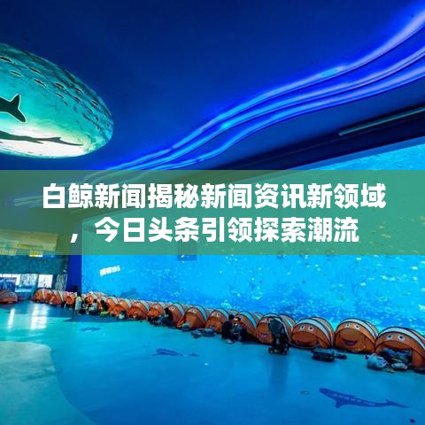 白鲸新闻揭秘新闻资讯新领域,今日头条引领探索潮流