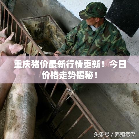 重庆猪价最新行情更新!今日价格走势揭秘!