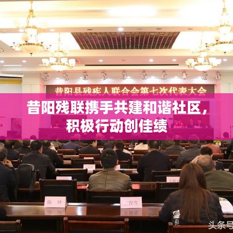 昔阳残联携手共建和谐社区,积极行动创佳绩