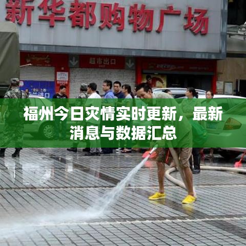 福州今日灾情实时更新,最新消息与数据汇总