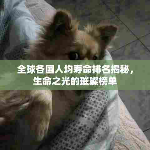 全球各国人均寿命排名揭秘,生命之光的璀璨榜单