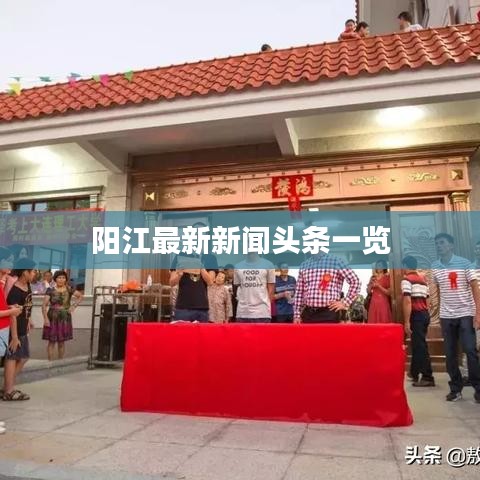 阳江最新新闻头条一览