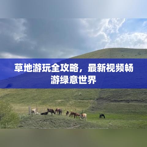 草地游玩全攻略,最新视频畅游绿意世界