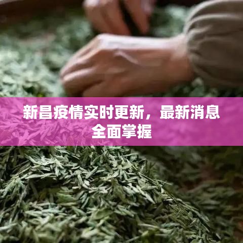 新昌疫情实时更新,最新消息全面掌握