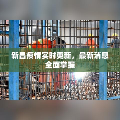 新昌疫情实时更新,最新消息全面掌握